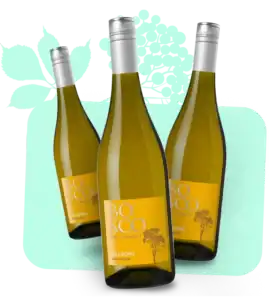 Prosecco Bosco dei Cirmioli