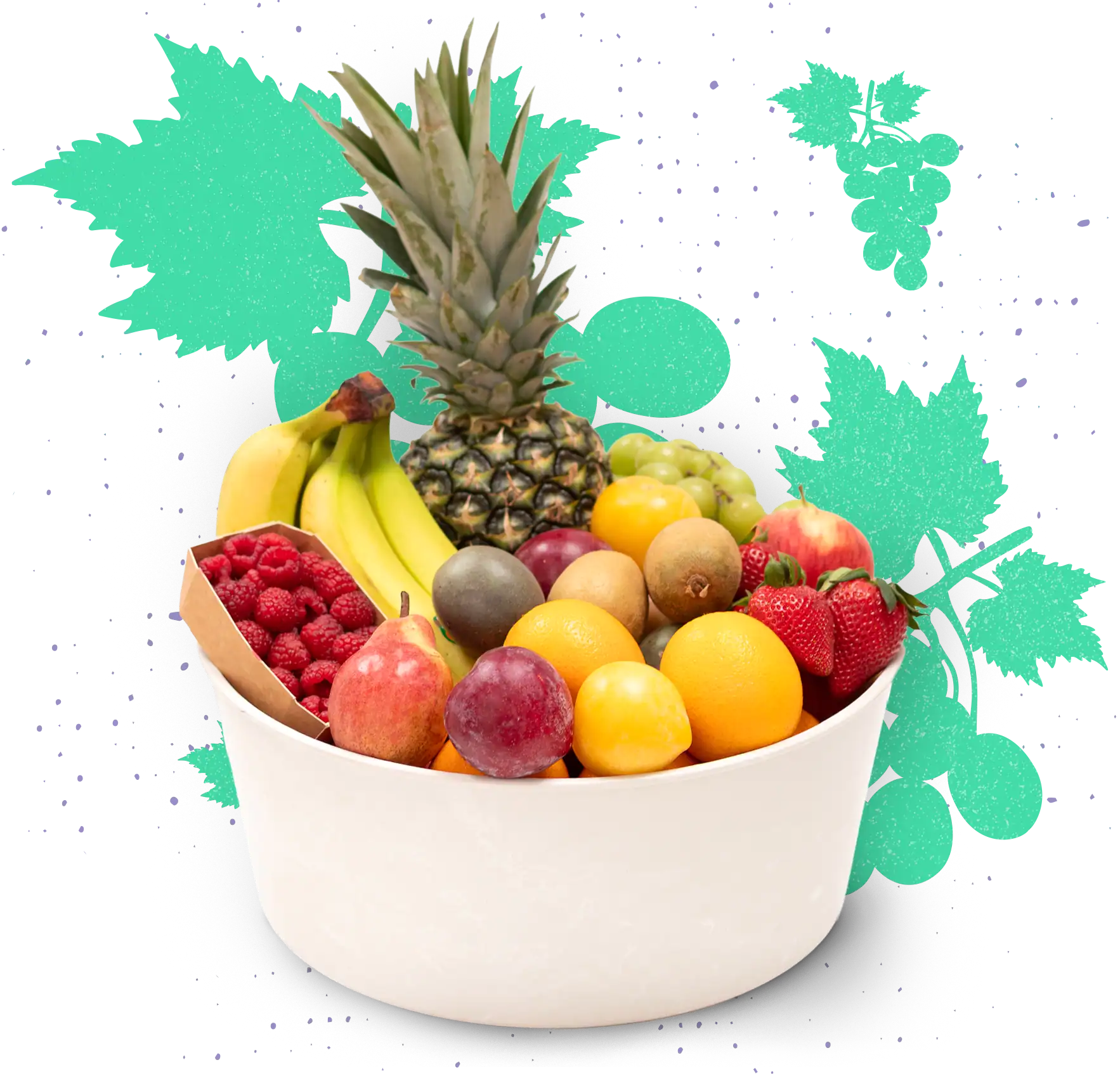 Gratis Obstkorb von den BüroVeggies Der BüroVeggies gratis Obstkorb für Euer Büro