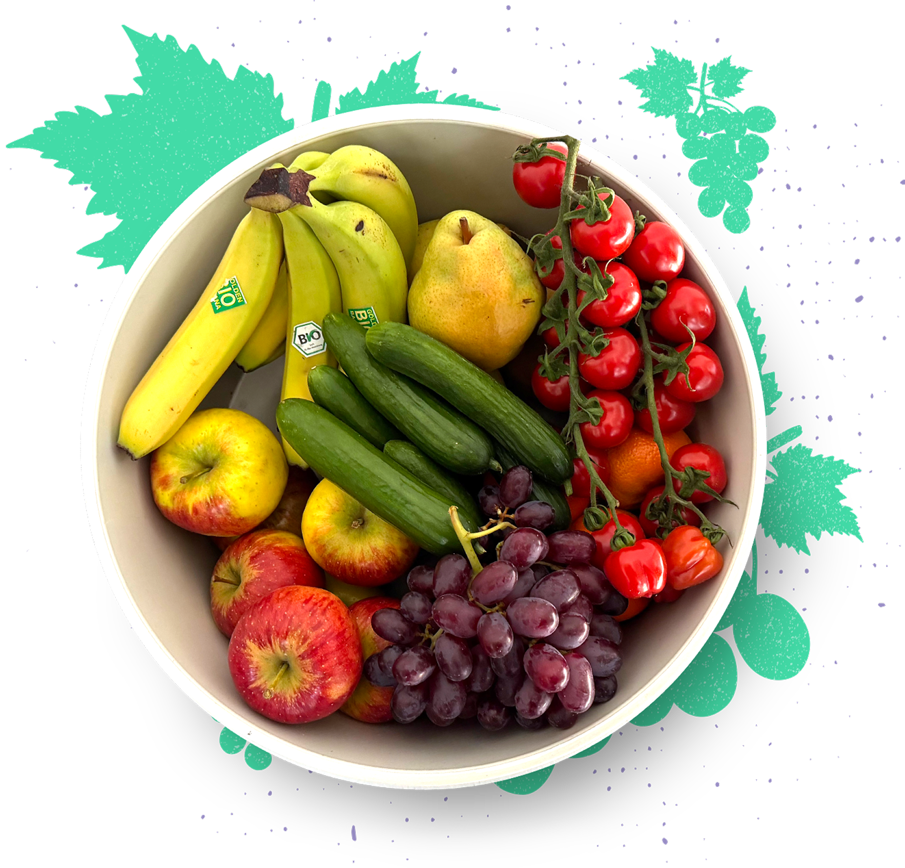 Inhaltsbild zu Unsere Obstkörbe