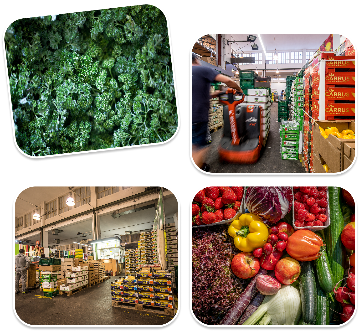 Inhaltsbild zu Über uns